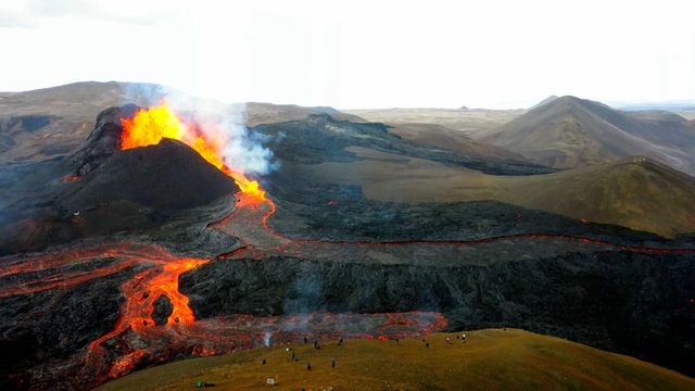 Bild ur Det isländska natur- och djurlivet