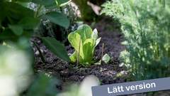 episodbild