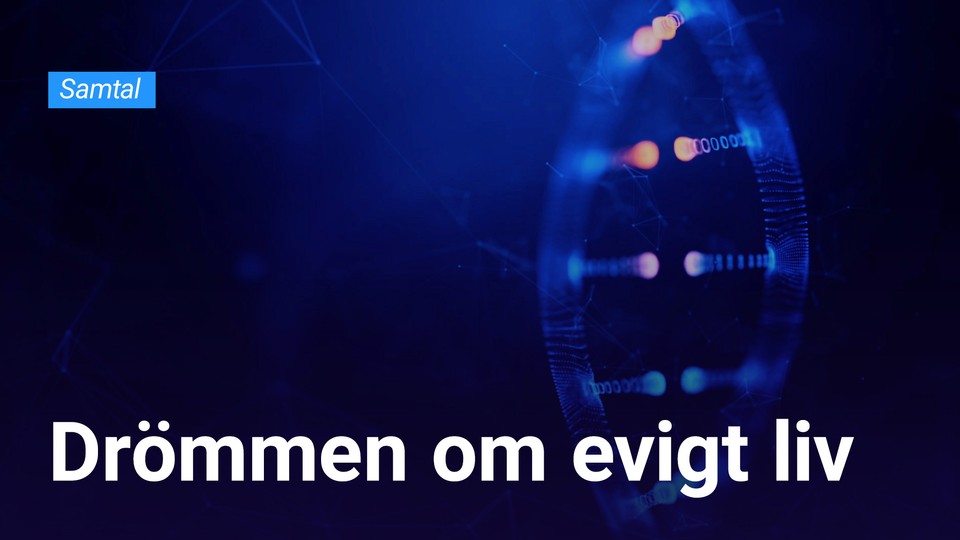 Programbild