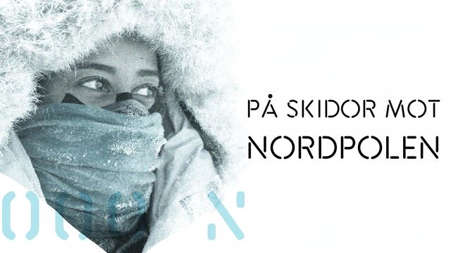 På skidor mot Nordpolen