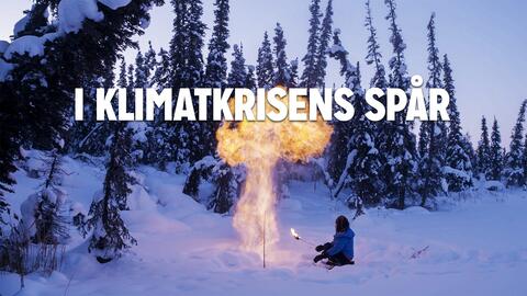 I klimatkrisens spår