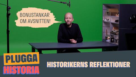 Plugga historia - historikerns reflektioner