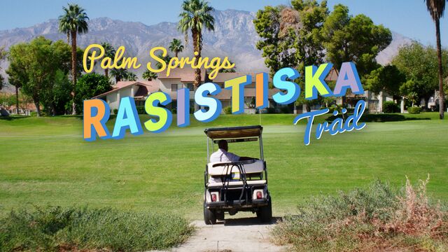 Palm Springs rasistiska träd