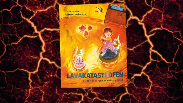 Bild ur Lavakatastrofen