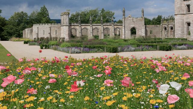 Bild ur Lowther Castle