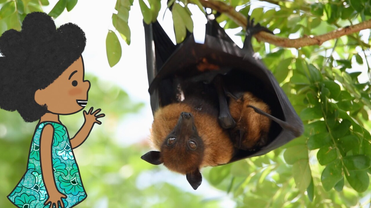 Ikki etuk ayol bir yigitni sikishdi