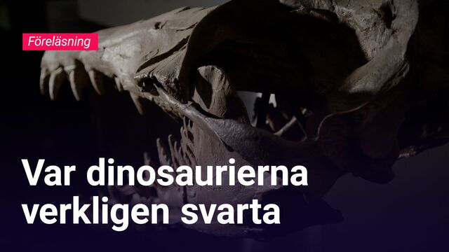 Bild ur Var dinosaurierna verkligen svarta?