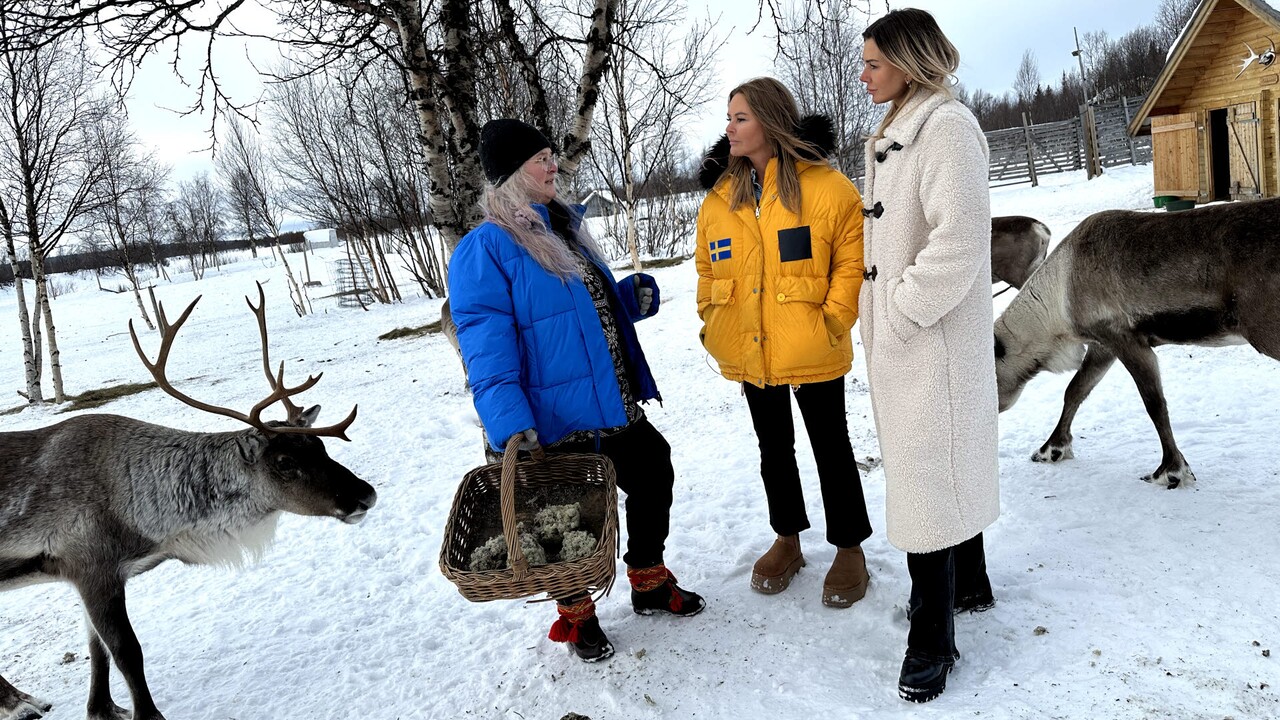 Jinsiy olatni kattalashtirish uchun porno