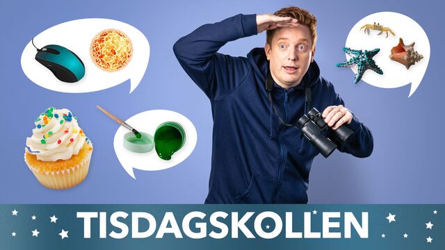 Bild ur Tisdagskollen