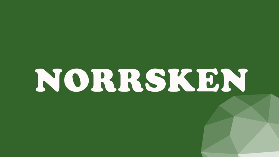 Programbild