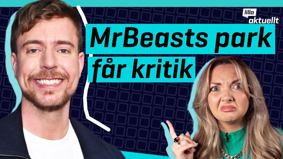 Programbild