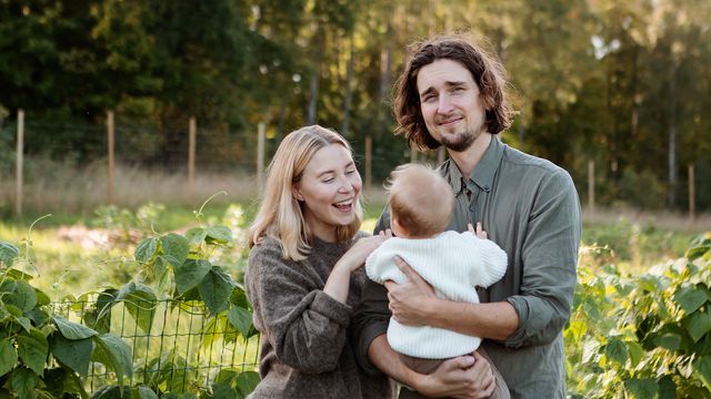 Längtan till landet