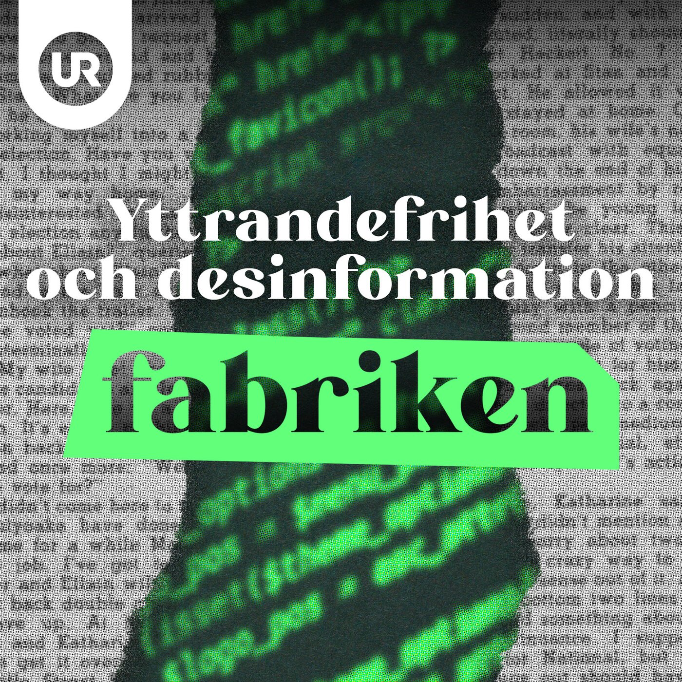 Desinformation är den nya yttrandefriheten
