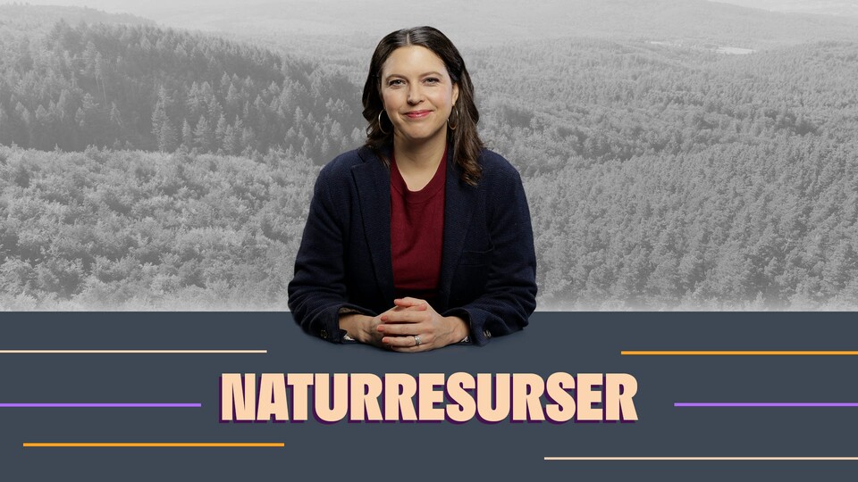 Programbild