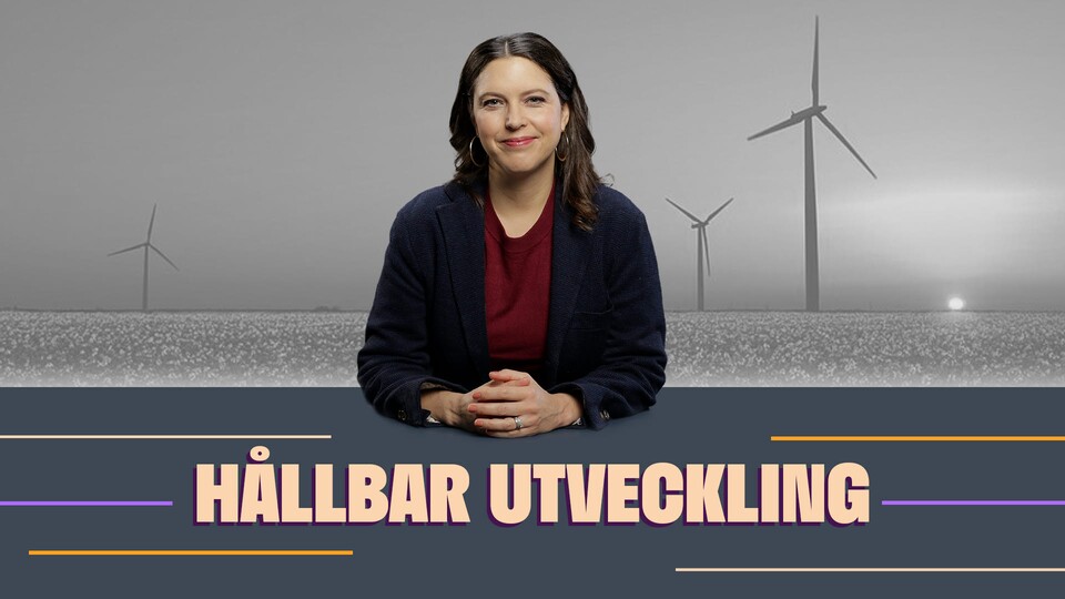 Programbild