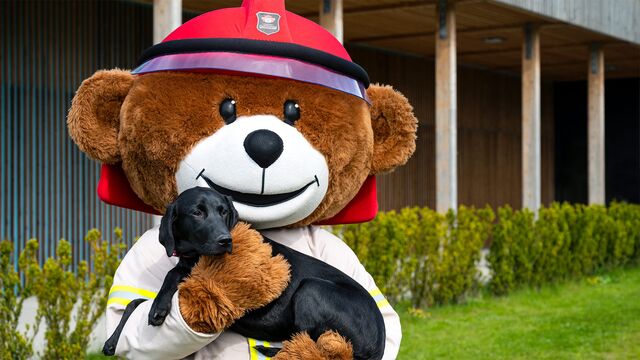 Bild ur Charlie i fara