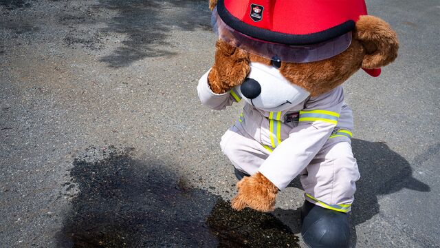 Bild ur Olja på villovägar