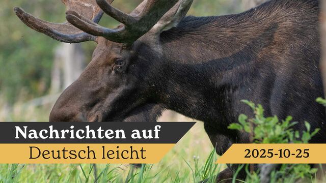 Bild ur 2025-10-25