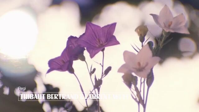 Bild ur 