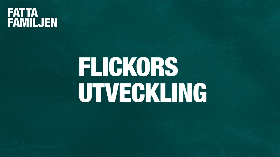 Programbild