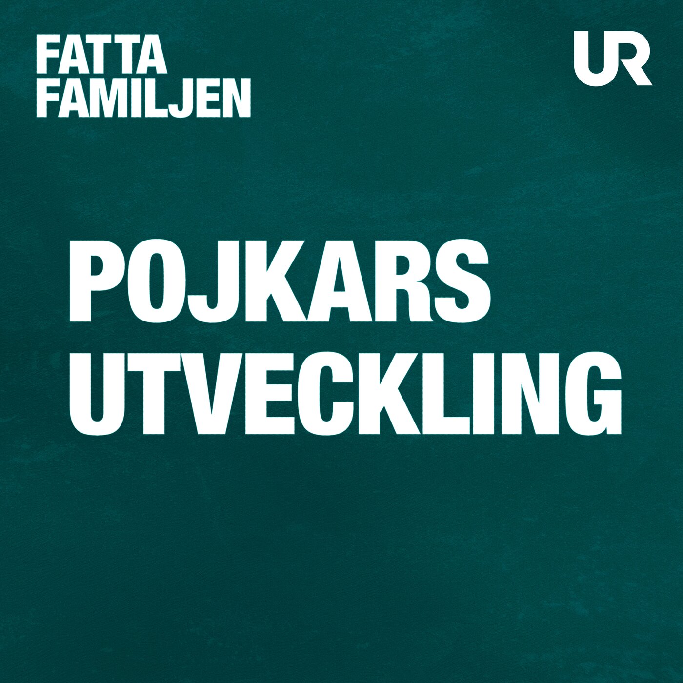 Förälder till en pojke episode artwork