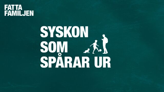 Bild ur Syskonkaos