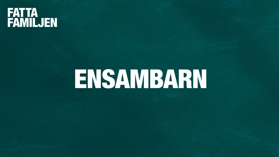 Programbild