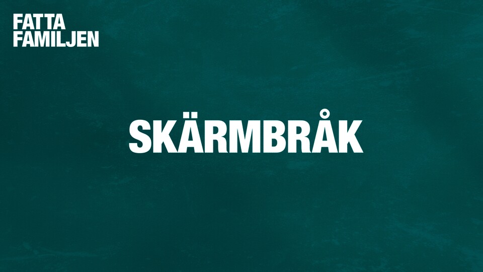 Programbild