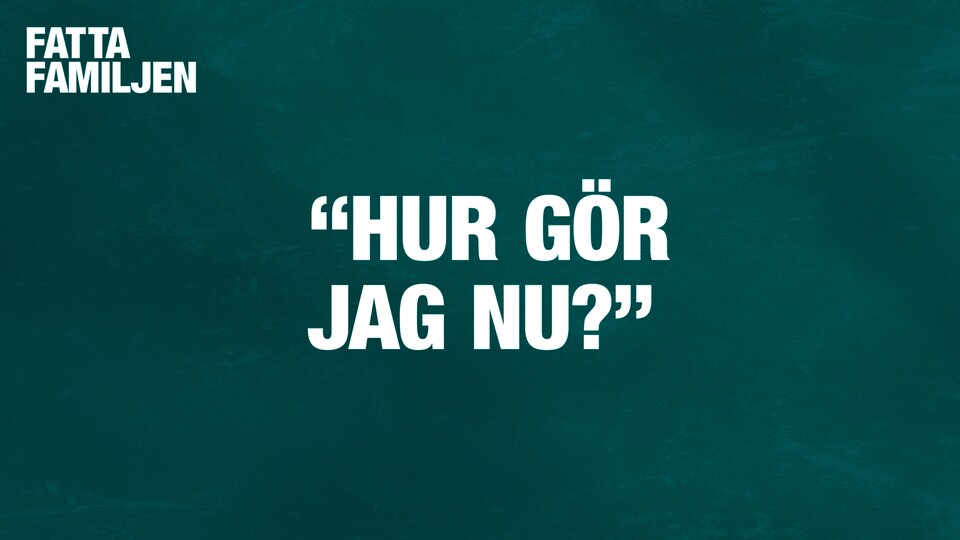 Programbild