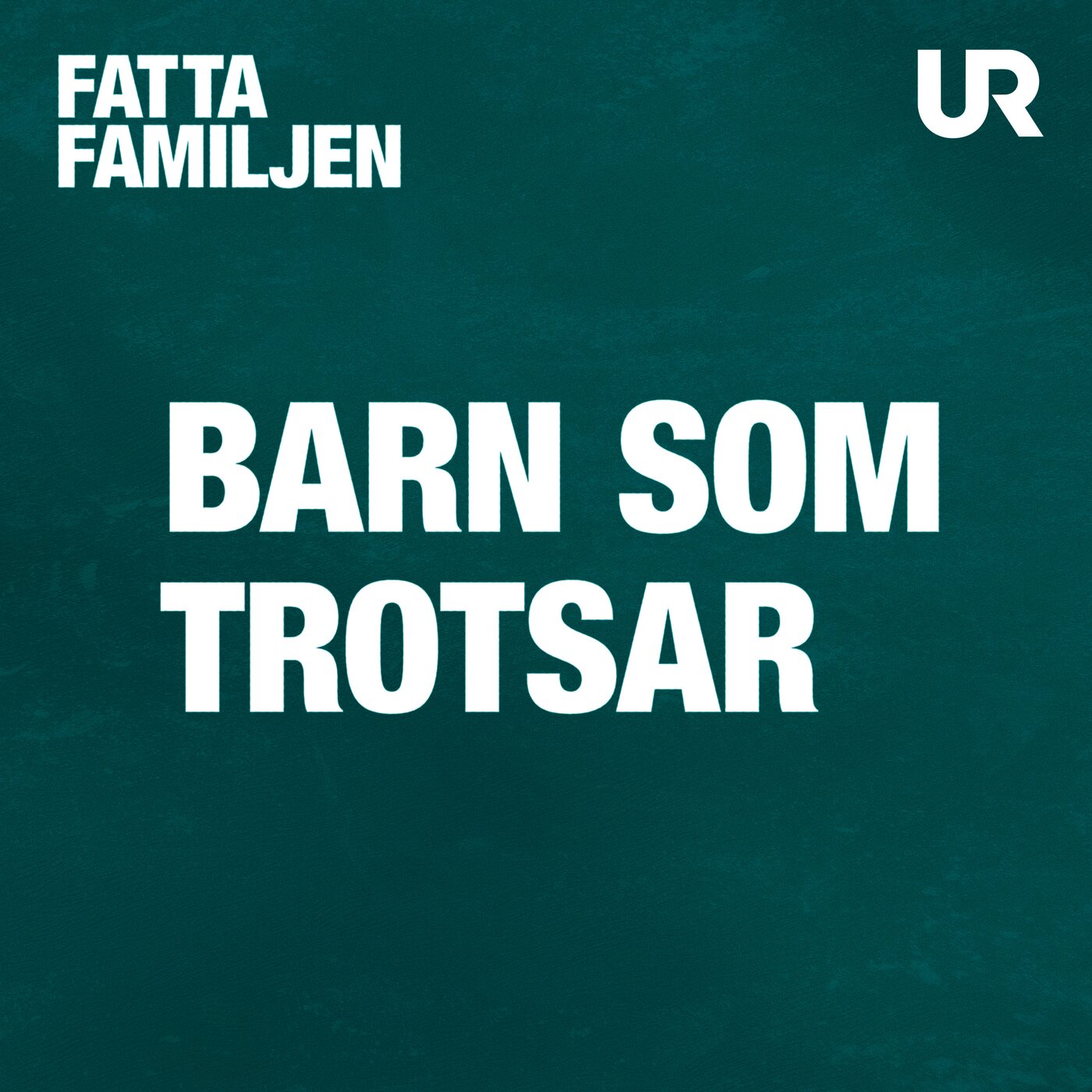 Så hanterar du trotsåldern