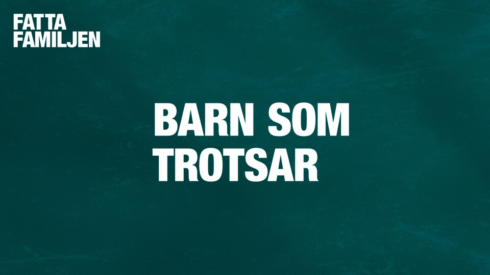 Programbild