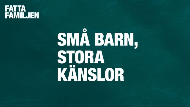 Bild ur Så förstår du det lilla barnets stora känslor