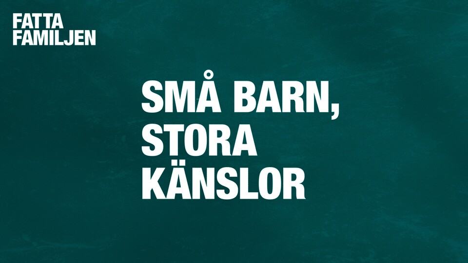 Programbild