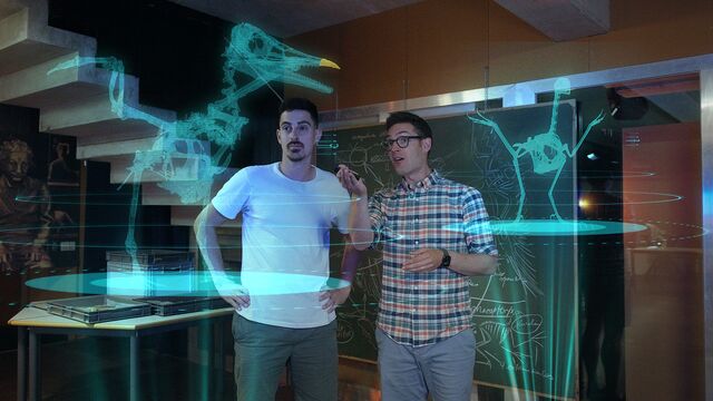 Bild ur Fåglarnas evolution