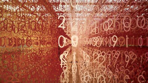 Siffrornas okända historia