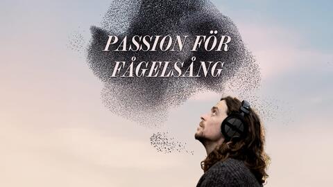 Passion för fågelsång