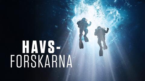 Havsforskarna