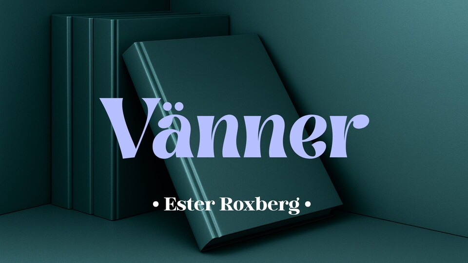Programbild