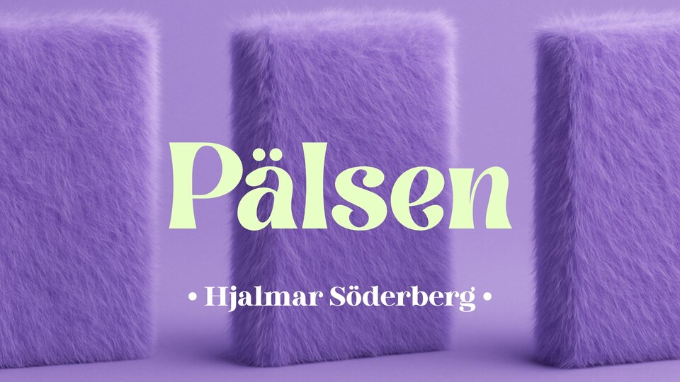 Programbild