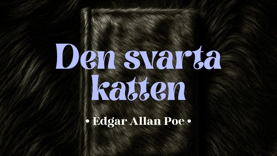 Programbild