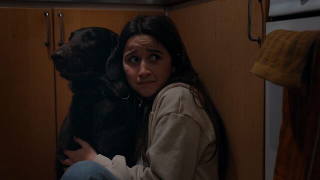 Bild ur The dead man