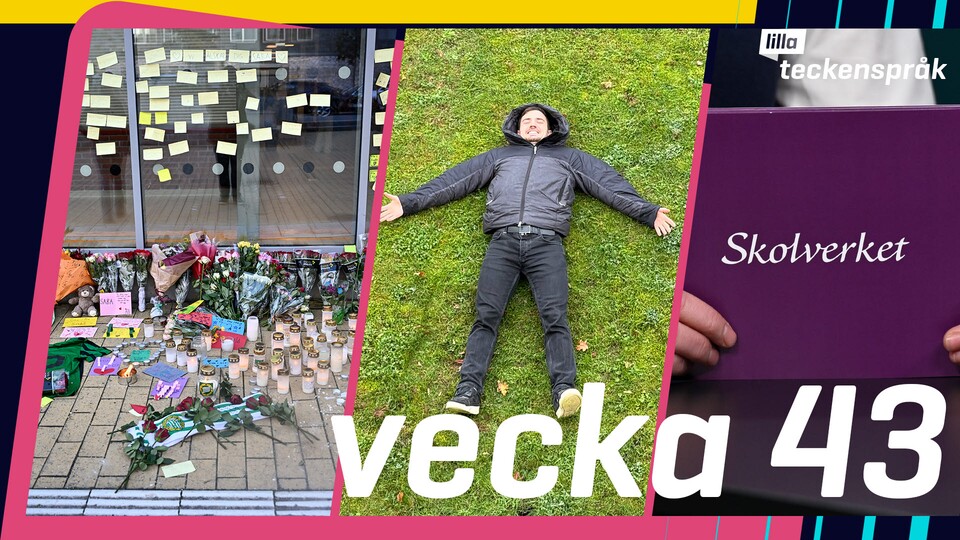 Programbild
