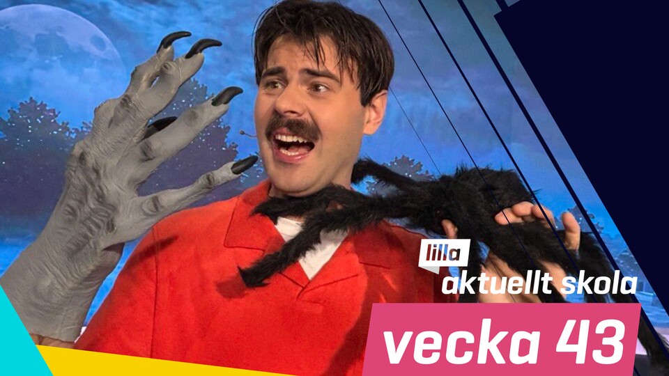 Programbild
