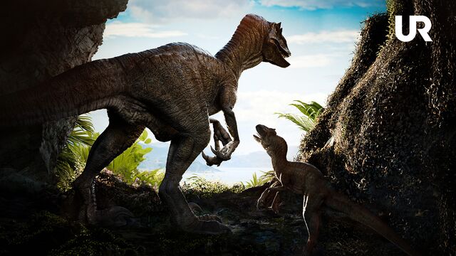 Bild ur Livet på Jorden