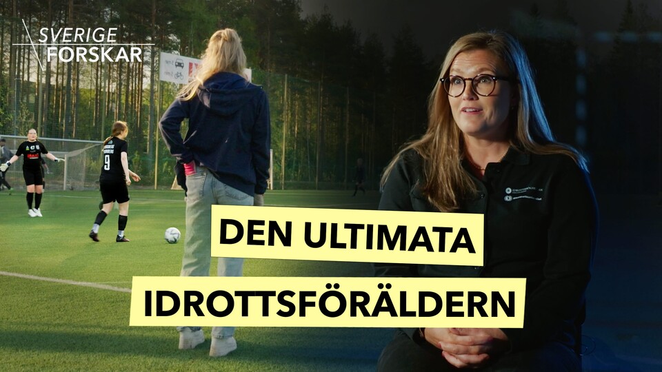 Programbild