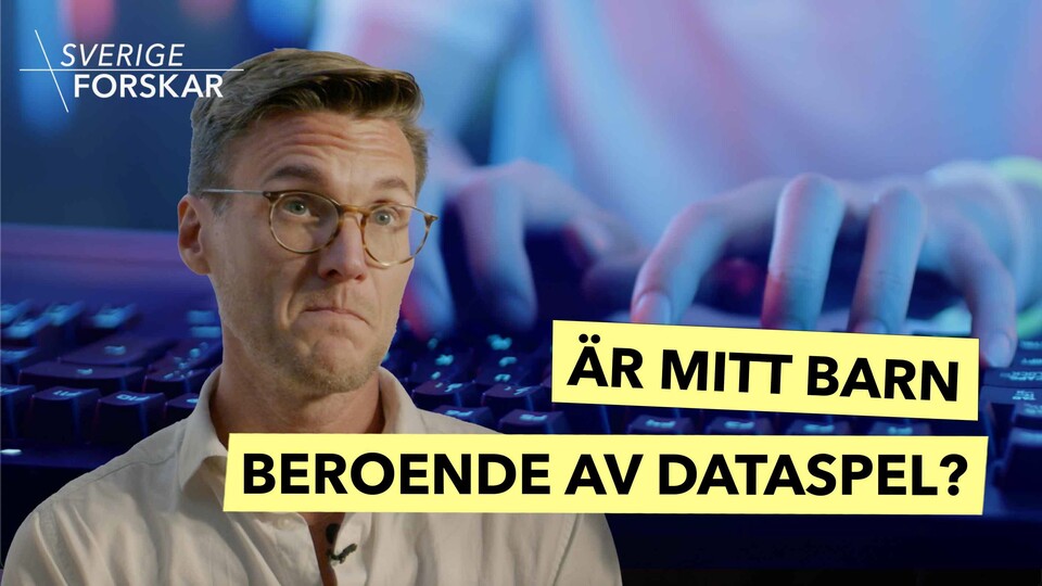 Programbild