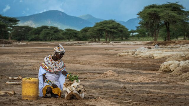 Bild ur Förändringens puls