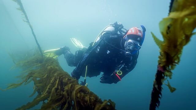 Bild ur Koldioxidjägarna