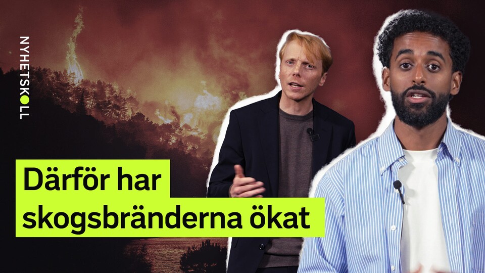 Programbild
