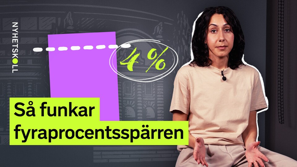 Programbild